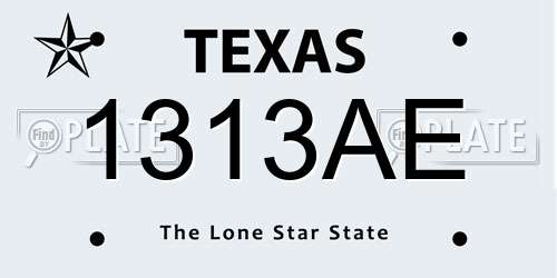 1313AE Texas License Plate