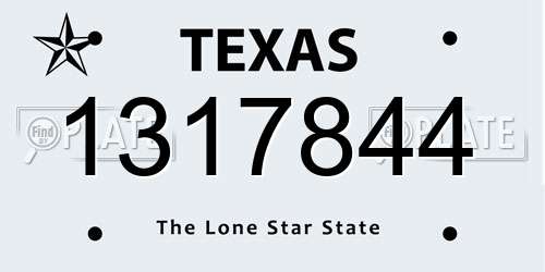 1317844 Texas License Plate