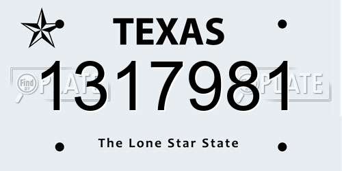 1317981 Texas License Plate