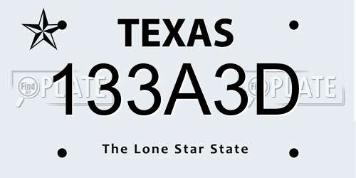 133A3D Texas License Plate