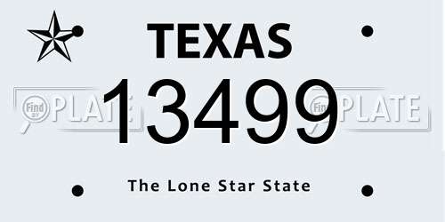 13499 Texas License Plate