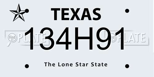 134H91 Texas License Plate