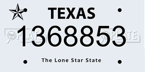 1368853 Texas License Plate