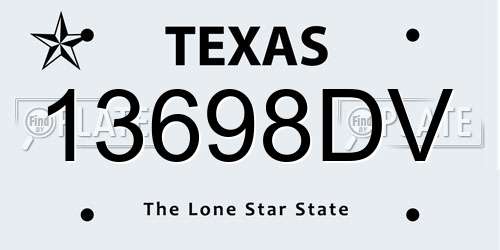 13698DV Texas License Plate