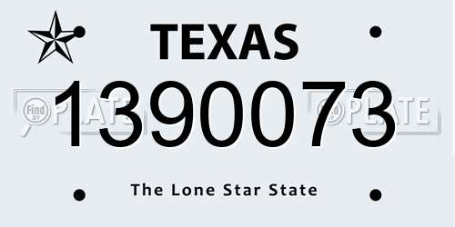1390073 Texas License Plate