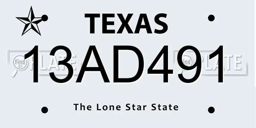 13AD491 Texas License Plate