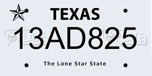 13AD825 Texas License Plate