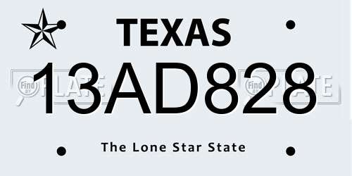 13AD828 Texas License Plate