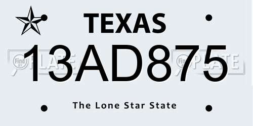 13AD875 Texas License Plate