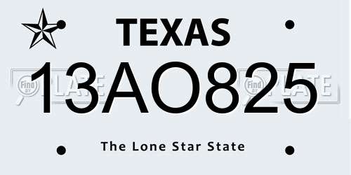 13AO825 Texas License Plate