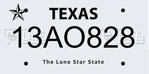 13AO828 Texas License Plate