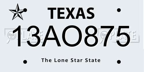13AO875 Texas License Plate