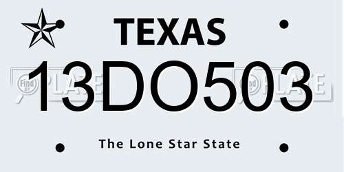 13DO503 Texas License Plate
