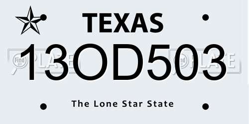 13OD503 Texas License Plate