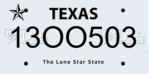 13OO503 Texas License Plate