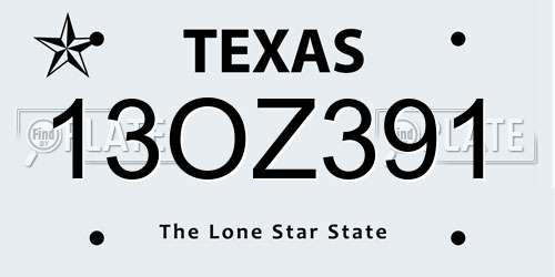 13OZ391 Texas License Plate