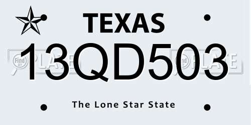 13QD503 Texas License Plate