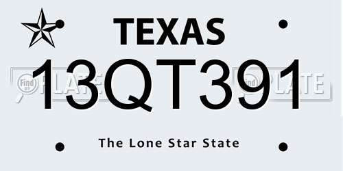 13QT391 Texas License Plate