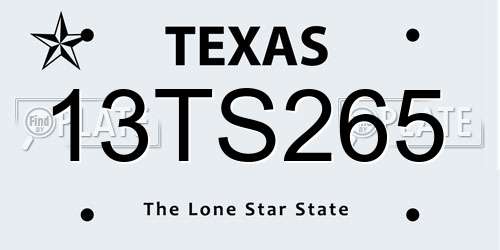 13TS265 Texas License Plate