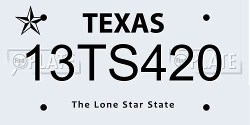 13TS420 Texas License Plate