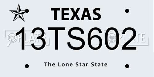 13TS602 Texas License Plate