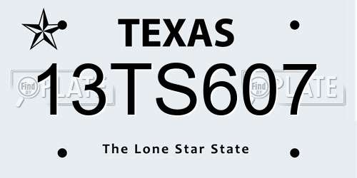 13TS607 Texas License Plate