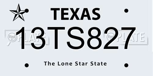 13TS827 Texas License Plate