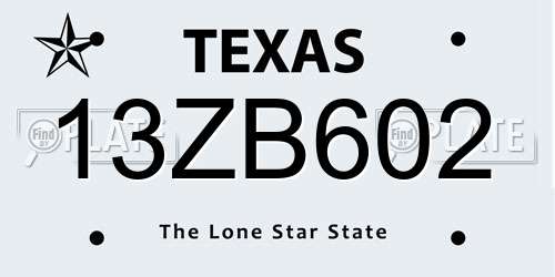 13ZB602 Texas License Plate