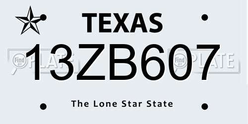 13ZB607 Texas License Plate