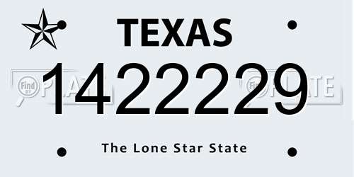 1422229 Texas License Plate