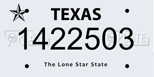 1422503 Texas License Plate