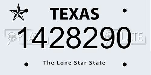 1428290 Texas License Plate