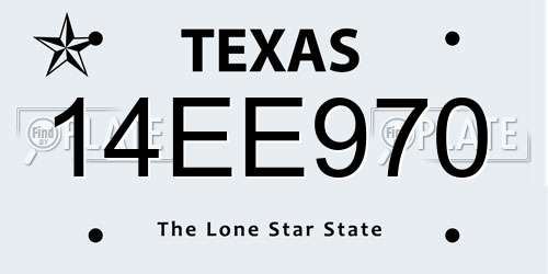 14EE970 Texas License Plate