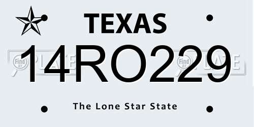 14RO229 Texas License Plate