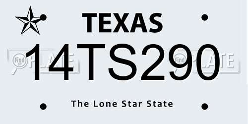 14TS290 Texas License Plate