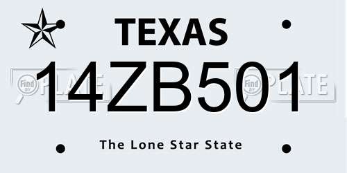 14ZB501 Texas License Plate