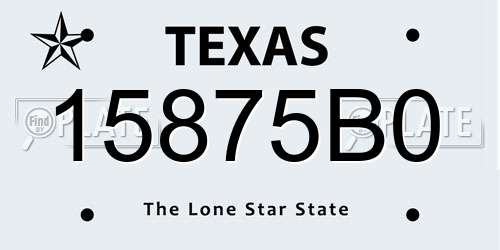 15875B0 Texas License Plate