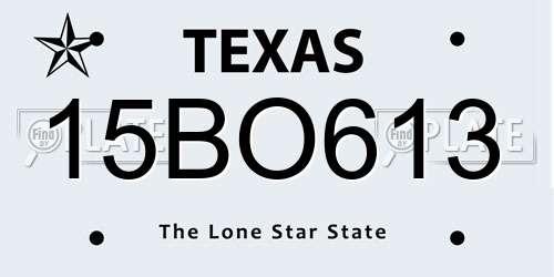 15BO613 Texas License Plate
