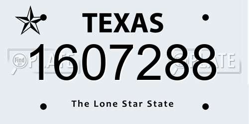 1607288 Texas License Plate