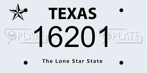 16201 Texas License Plate