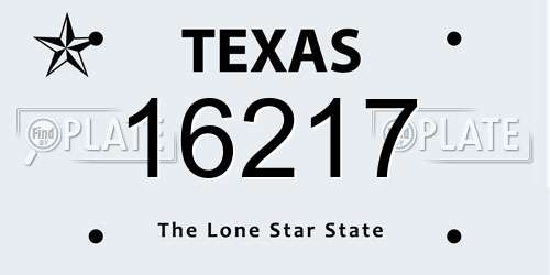 16217 Texas License Plate