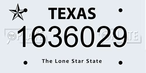 1636029 Texas License Plate