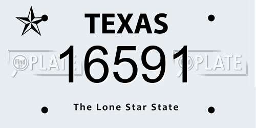 16591 Texas License Plate