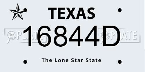 16844D Texas License Plate