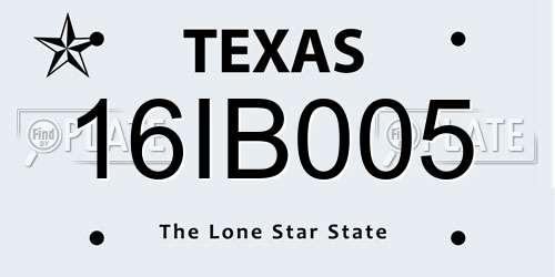 16IB005 Texas License Plate