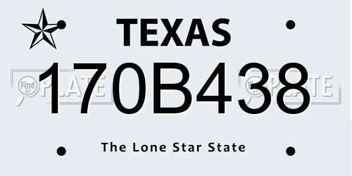 170B438 Texas License Plate