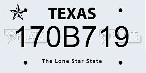 170B719 Texas License Plate