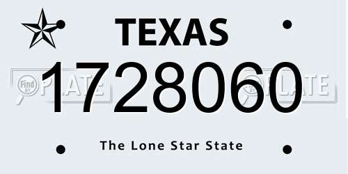 1728060 Texas License Plate
