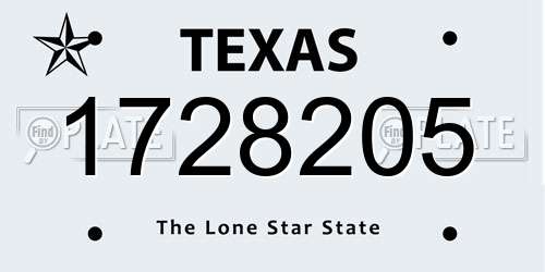 1728205 Texas License Plate