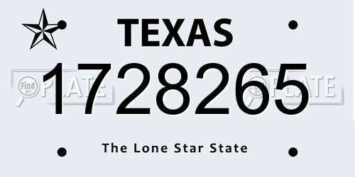 1728265 Texas License Plate